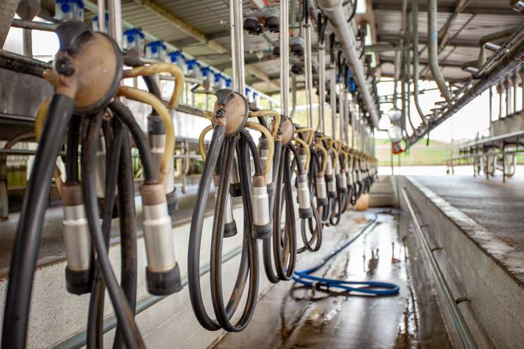 390 Parapara Road Tirau_5