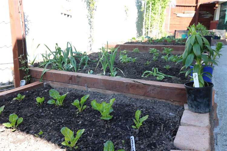 25 Douglas Street Waimataitai_13