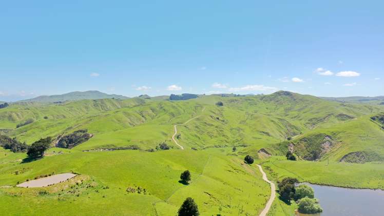 207 Mangatuna Road Weber_9