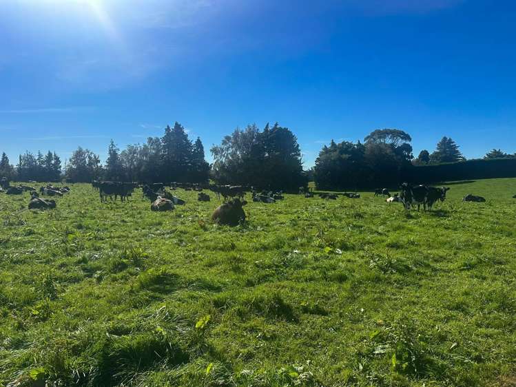 321-349 Chittock Road Maitland_13