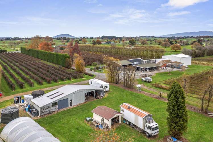 1972 Te Rahu Road Te Awamutu_28