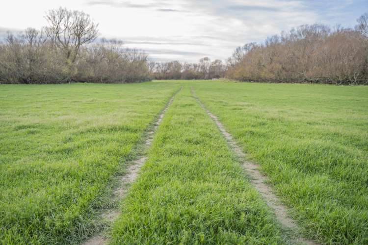 16 Factory Road Thornbury_8