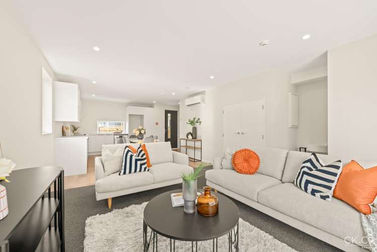 55 Britannia Street Petone_5