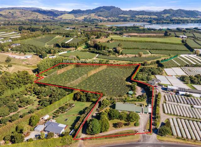 Idyllic Lifestyle With Kiwifruit Orchard