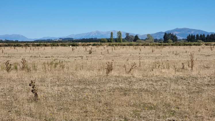 128 Terrace Road Cust_6