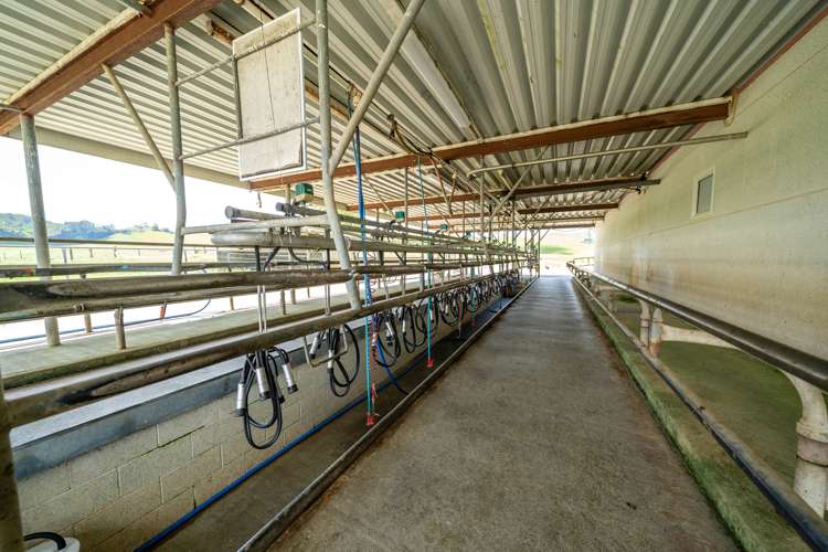 360 Manuel Road Tauhei_3