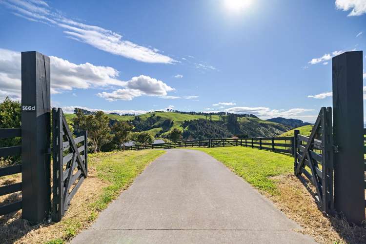 566D Waitao Road Welcome Bay_21