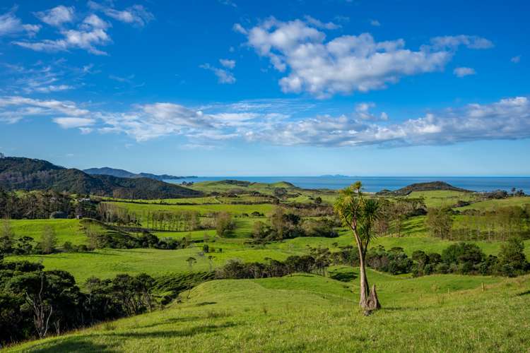 196b Ocean Beach Road Whangarei Heads_13