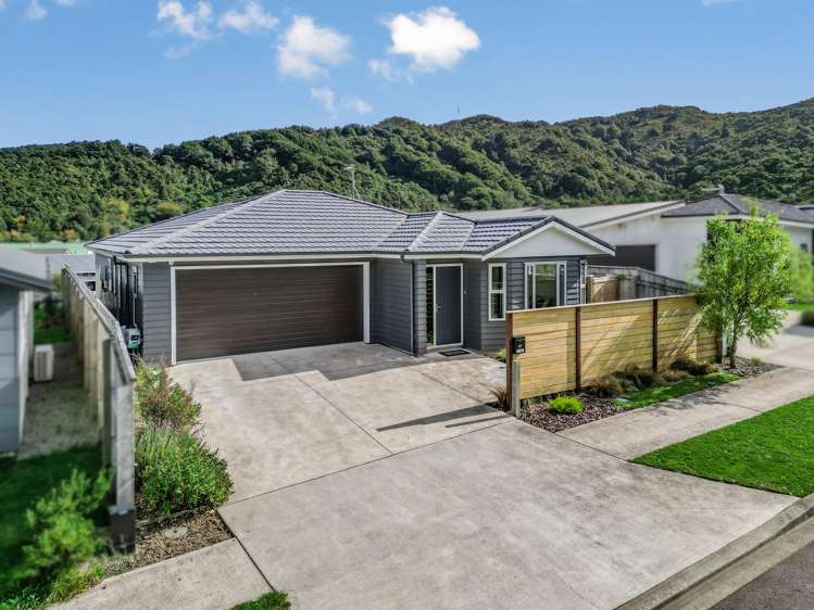 87 Meremere Street_0