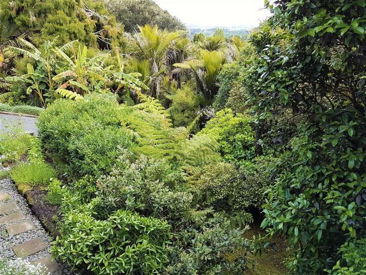 400 Ponga Road Opaheke_14