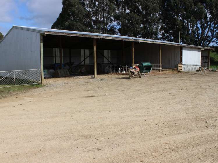 380 Matheson Road Catlins Surrounds_14