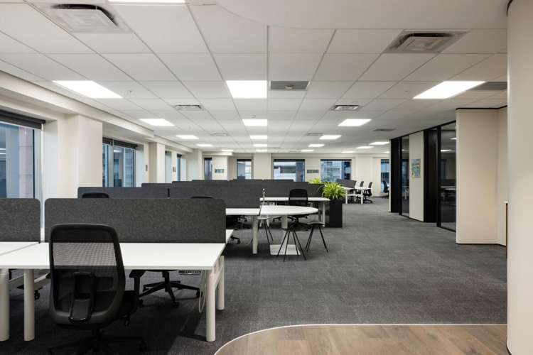 66 Wyndham Street City Centre_17