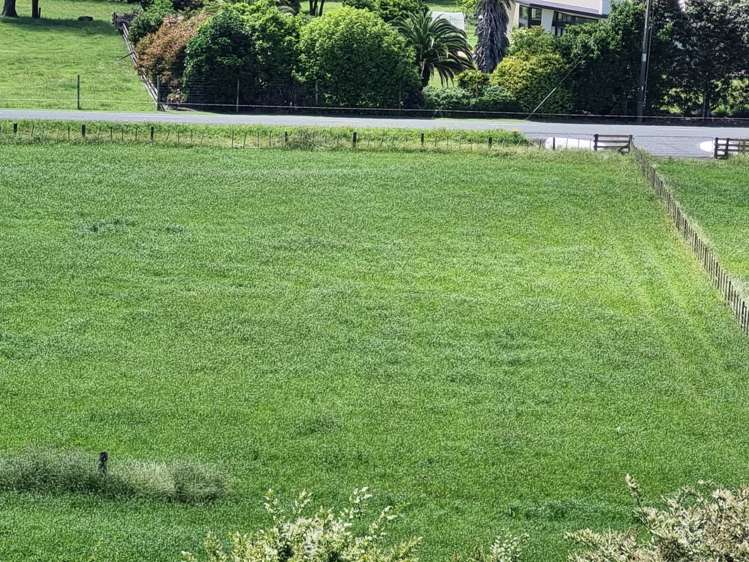 2/2 Hogg Road Onepu_5