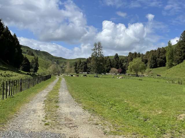 592 Waitewhena Road Ohura_2