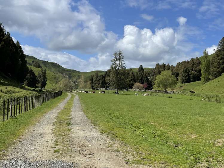 592 Waitewhena Road Ohura_2