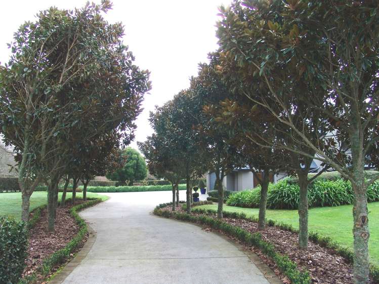 121 Leger Grove Te Awamutu_19