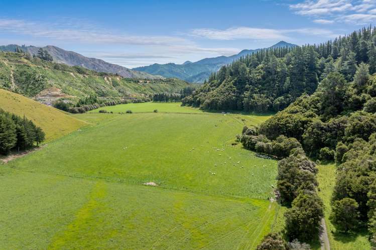 140 Leslies Road Okaramio_31