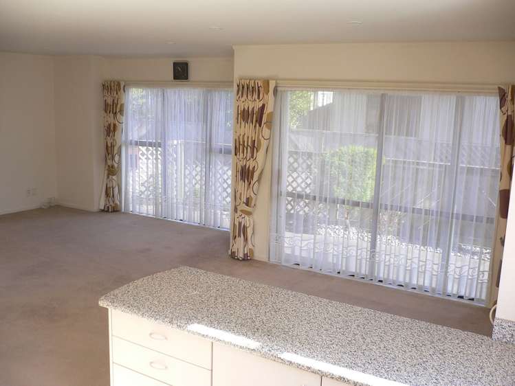 3 Macalister Place Miramar_11