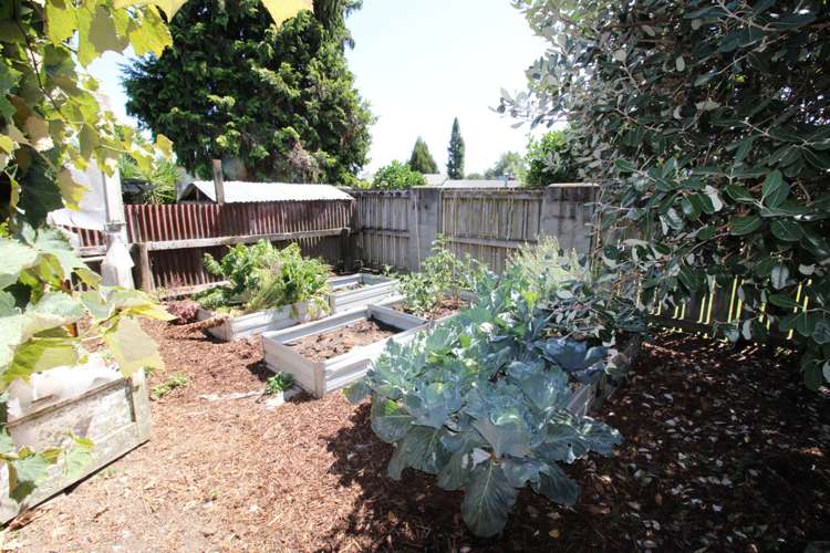 184 Broadway Matamata_12