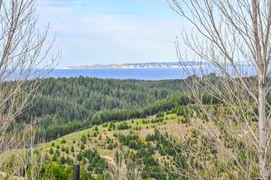 438 Aropaoanui Road_1