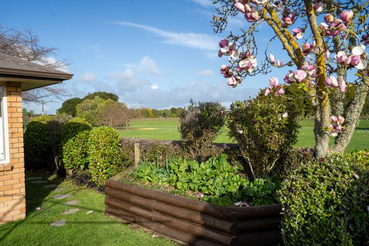 26a Madison Street Cambridge_22