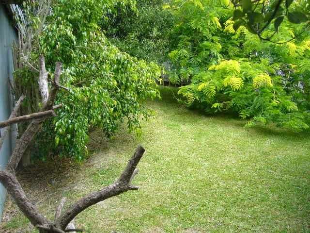 12a Jean Place Stanmore Bay_2