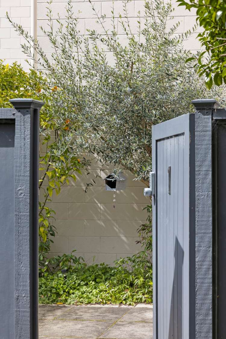 1/116 Wellington Street Freemans Bay_13