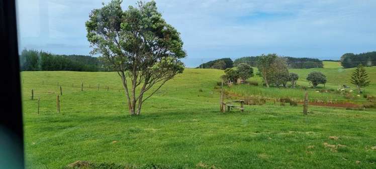 1265 Babylon Coast Road, Mamaranui Dargaville_13