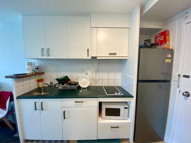 17G/3 Whitaker Place Auckland Central_4