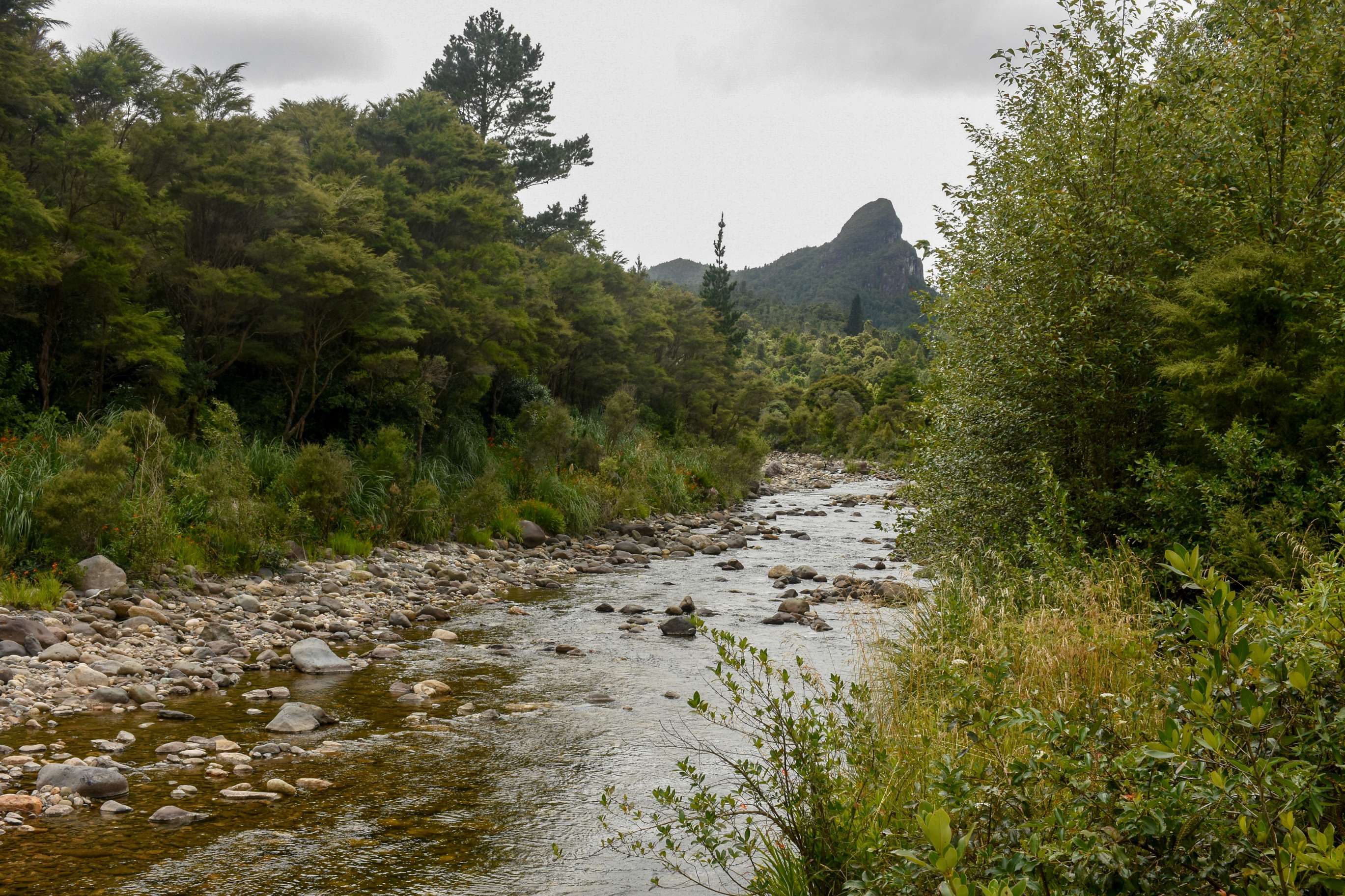 735 Maratoto Road Hikutaia ThamesCoromandel Rural Property For Sale One Roof