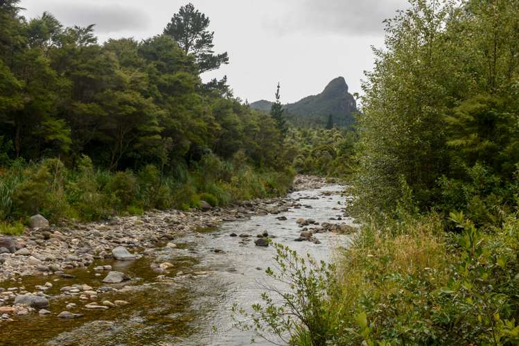 735 Maratoto Road Hikutaia_21