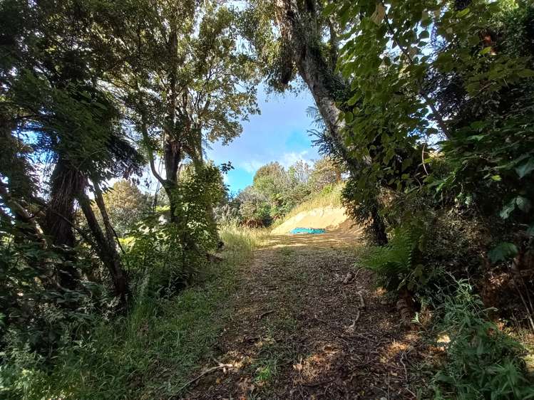 Harrington Mill Road Catlins Surrounds_5