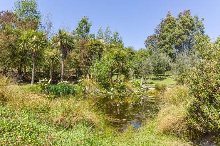 157 Stringer Road Redwood Valley_39