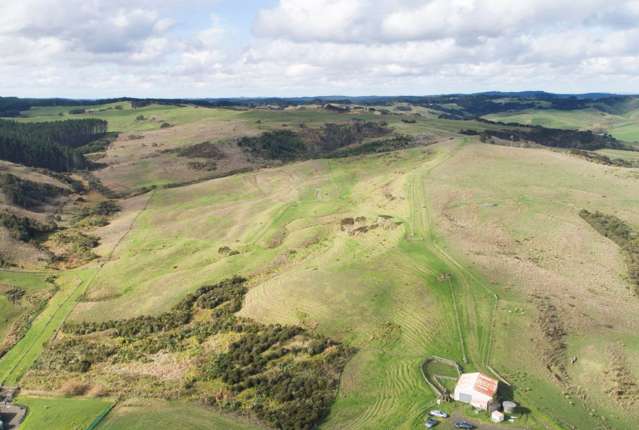 729 Peak Road Helensville_1