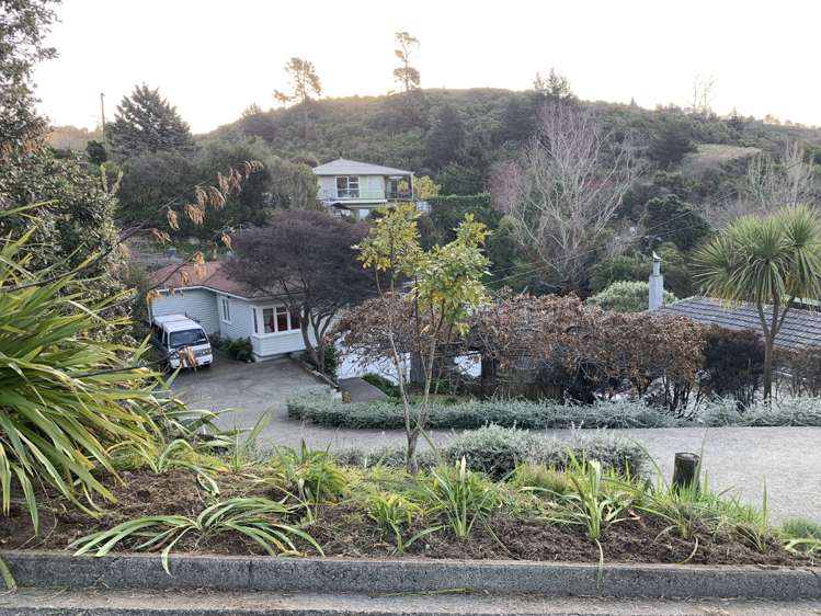 116 Murphy Street Toi Toi_0