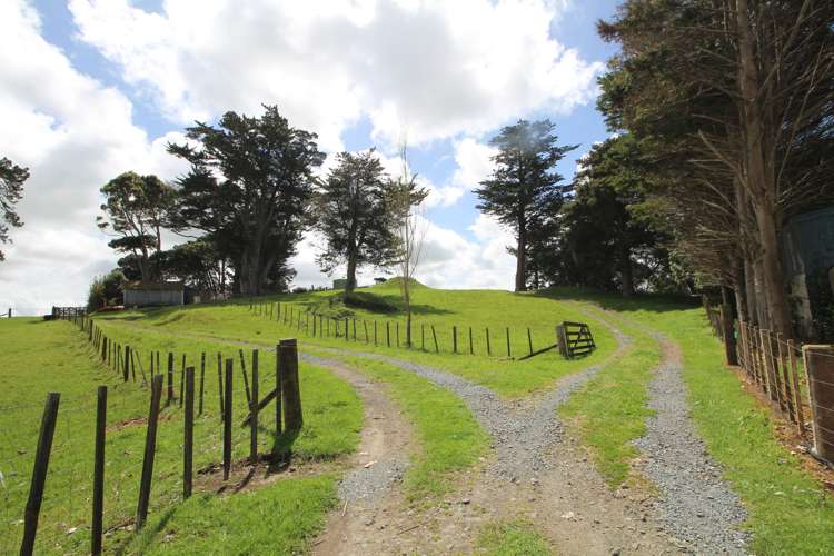 133 Colville Road Dargaville_1