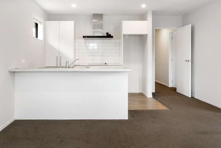 29 Mills Road Marshland_22