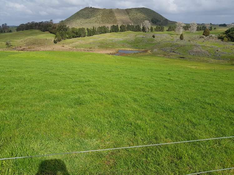 7045 State Highway 1 Pakaraka_2