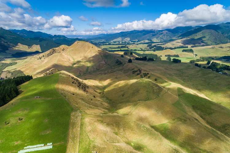 Mangleton Road Central Hawkes Bay Country_15