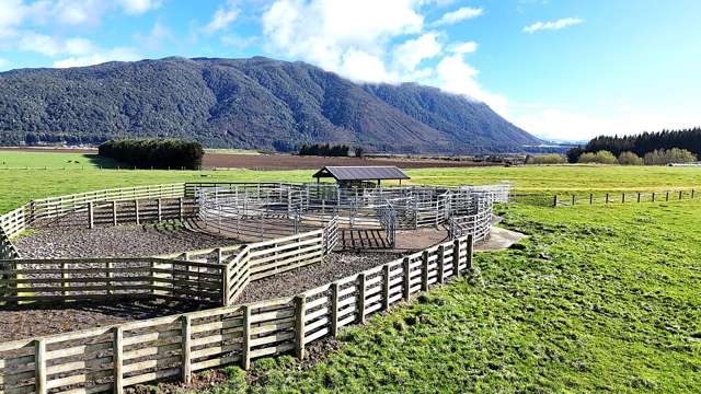 2211 Blackmount Redcliff Road Whare Creek_3