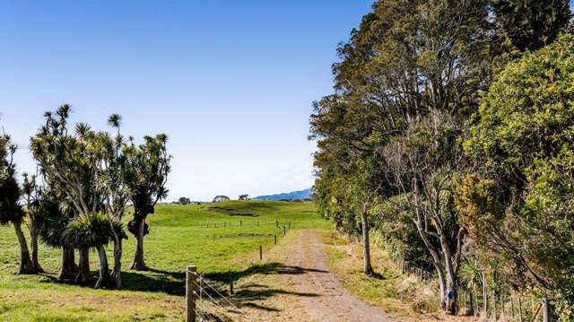 183 Warea Road Warea_4