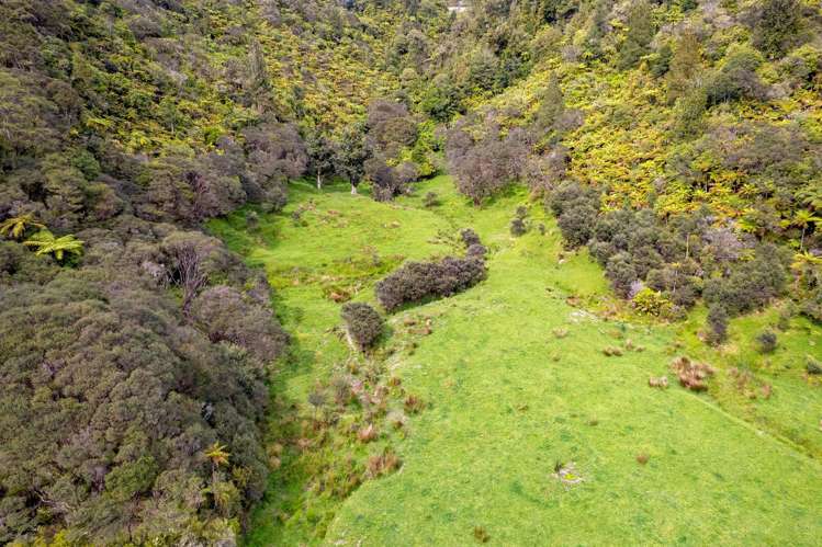 3133 Mokau Road Mokau_13