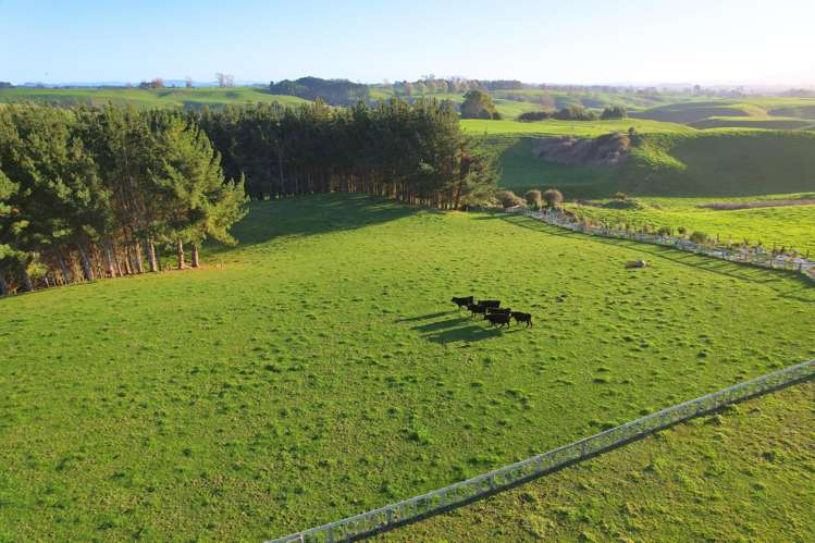 11C Jones Road Putaruru_5