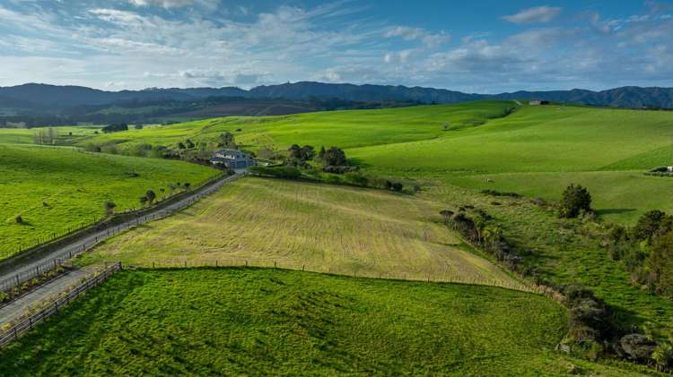 989E Kaiwaka-Mangawhai Road_5