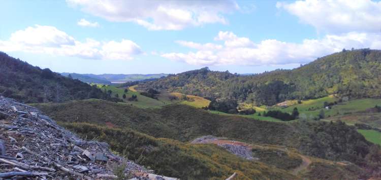 270 Kaimarama Road Kaimarama_7