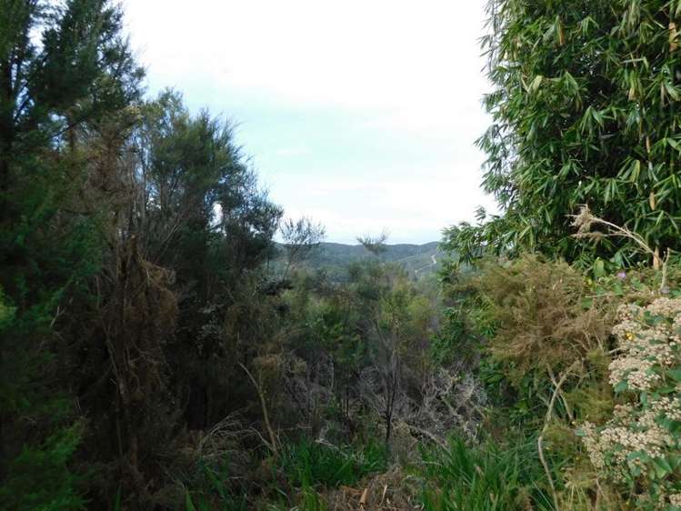 2b Ash Grove Circle Haruru_7