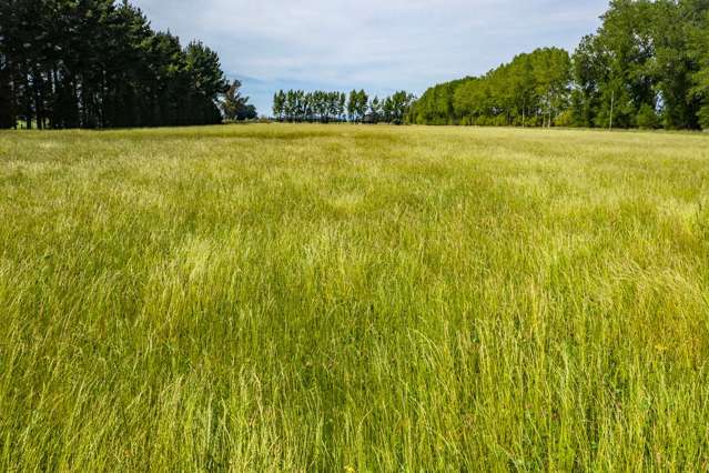 732 Rangiora Leithfield Road Leithfield_4