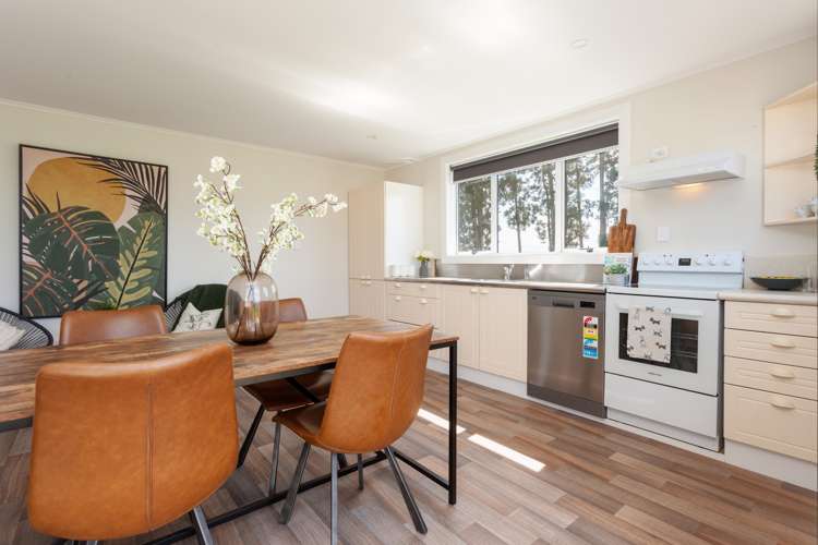 354 Maiseys Road Waharoa_7