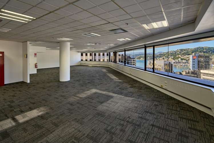 8 Gilmer Terrace Wellington Central_7