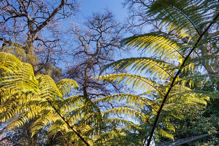 10a Shelton Place Marton_9